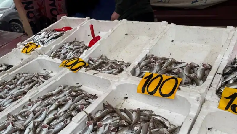 Balık Fiyatları Düşerken, Restoran Sahibi "Halka Bedava Balık Yedirdik" Dedi