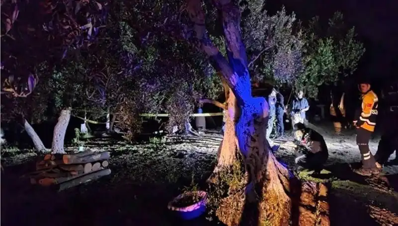 Çiftlikte Baltalı Vahşete İki Tutuklama: İşte Olayın Ayrıntıları