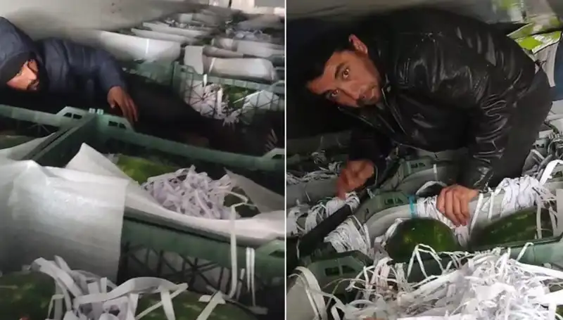 Karpuzların Arasından Çıkan Göçmenler: Sınırda Şok Eden Olay