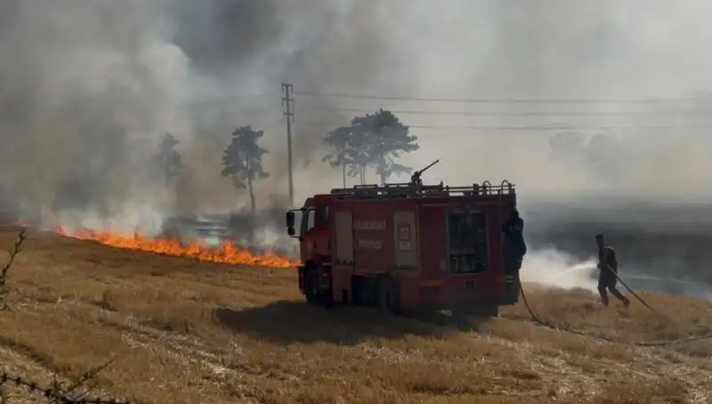 Kırklareli'nde Yangın Paniği: Anız Alevleri Contalarla Büyüdü