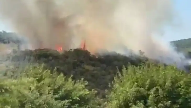 İstanbul'da Orman Yangını Alarmı: Tahliye Kararları ve Acil Durum Önlemleri