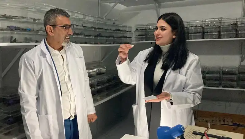 Akrep Zehri ile Şekerin Tuhaf Birleşimi: Şaşırtan Deney!