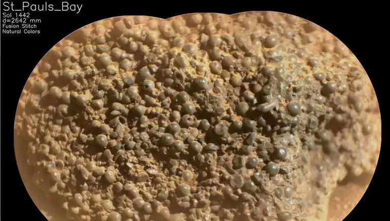 Mars'ta Örümcek Yumurtaları mı Bulundu? Uzayda Şaşırtıcı Keşif