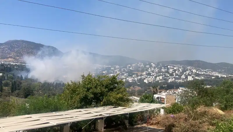 Muğla’daki Orman Yangınları Kontrol Altına Alındı: Son Durum ve Önlemler