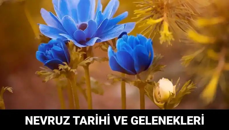 Nevruz Bayramı: Geleneğin ve Birlikteliğin Yenilendiği Kutlama Zamanı